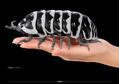 The Diversity of Life on Earth Advance Pill Bug Action Figure Bandai Capsule Toy