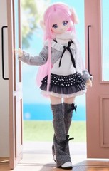 Unveiled Door Syncy Land Grey Ootd 22.5cm/8.8In Bjd Dressable Action Figure Gift