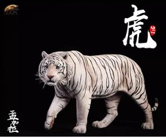 JxK 1/6 Bengal Tiger White Tiger Figure Animal Model Collect Toy Statue