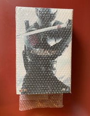 Hot Toys MMS192 G.I. JOE Retaliation SNAKE EYES Action Figure (Hot Toys, 2013)