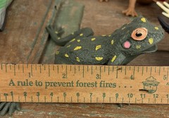 Lot 5 Frog Turtle Life-Like Realistic Plastic Rubber Stretchable Figure Toy