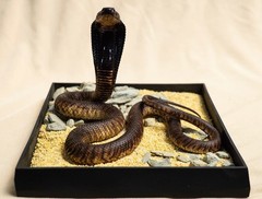 Snake Gorge Egyptian Cobra Figure Naja Haje Animal Model Adult Xmas Gift Toys
