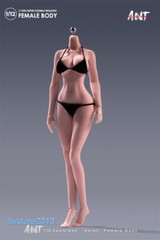 US ANT 1:12 Suntan Large Bust Plump Hip Girl 6″ Female Action Figure Body Toys
