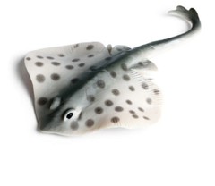 11.5cm Skate Fish PVC Toy Ocean Sea Animal Figure Kids Gift