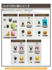 Bandai Capsule Toy Creature Encyclopedia Kuwagata/Stag Beetle 03 Full Set of 5!