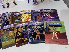 Masters Of The Universe HUGE 19 FIGURE LOT 100% Complete Animated As Seen On TV