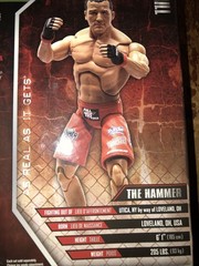 Matt Hamill