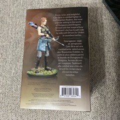 Gamestop Exclusive Dungeons & Dragons Modern Icons Catti-Brie Statue Figure New