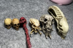 Alien Predator Skull Kit Neca Predator Loot Accessories Model Toy