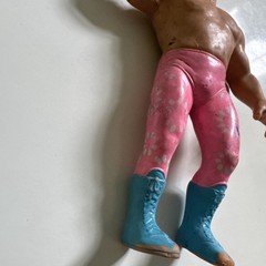 WWF WWE Titan Sports Wrestling Superstars Jesse The Body Ventura