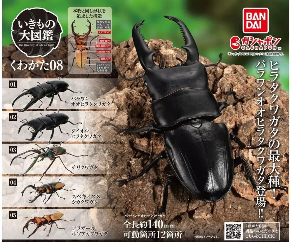 The Diversity of Life on Earth Stag Beetle 08 Action Figure Bandai Capsule Toy