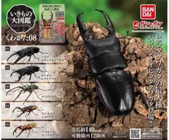 The Diversity of Life on Earth Stag Beetle 08 Action Figure Bandai Capsule Toy