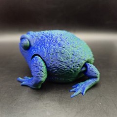 Rain Frog Articulated Figure 3D Printed Collectable Multi Color