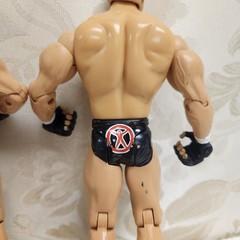 GYMINI Jake + Jesse WWE Jakks Pacific 2003 Action Figures