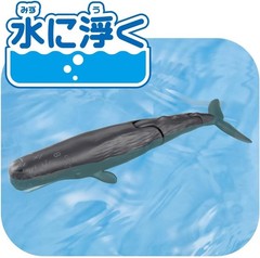 Takara Tomy ANIA Sperm Whale AL-34 Floating Animal Adventure Action Figure 2025
