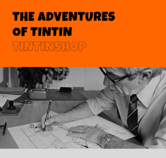 TINTIN A4 File Folder [lot of 2] CLEAR Sleeve Protector Organizer for Paper Docs