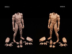 1/6 MX02 Male Narrow Shoulders Muscular Skin Action Figure Body Model Toys