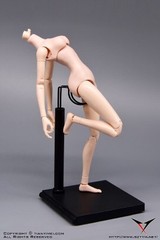 US 1/6 Flexible Pale Skin 12″ Girl Female Soldier Action Figure Body Toys Dolls