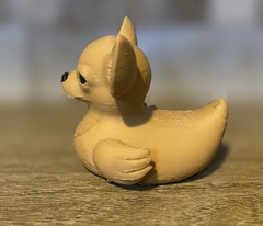 Chihuahua Duck