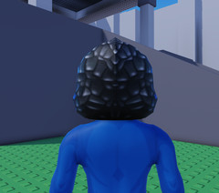 ROBLOX SILVERFIN HOOD Virtual Item Code only MESSAGE DELIVERY (READ DESC)