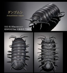 The Diversity of Life on Earth Advance Pill Bug Action Figure Bandai Capsule Toy