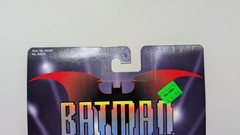 Batman Beyond Sonar Strike Batman (See Photos)
