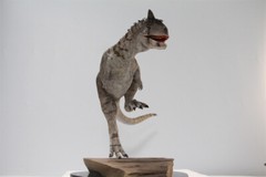 MEMORY MUSEUM 1/15 Carnotaurus Limited Edition Dinosaur Model Figure Toys Gift