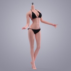 ANT 1/6 T303P Normal Skin Slim Girl 12″ Female Seamless Action Figure Body Toys
