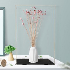 Acrylic Display Case Show Box Dustproof Protection Action Figures Doll Toy Model