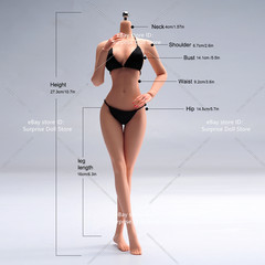ANT T303 1/6 Female Slender Flexible Seamless Body Details For 12”Action Figure
