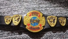 Mattel WWE Elite ECW World Television Championship Title Belt For 6″ Figure TV