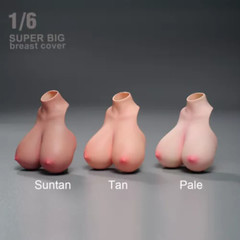 1/6 Replacement Breast Cover Female E-H Big Huge Model For12”PH TBL Figure Body