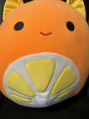 SDCC 2023 Squishmallows UCC Barnet Orange Con San Diego
