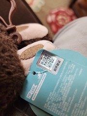 POPLAND EXCLUSIVE THE MONSTERS PLUSH LABUBU brown