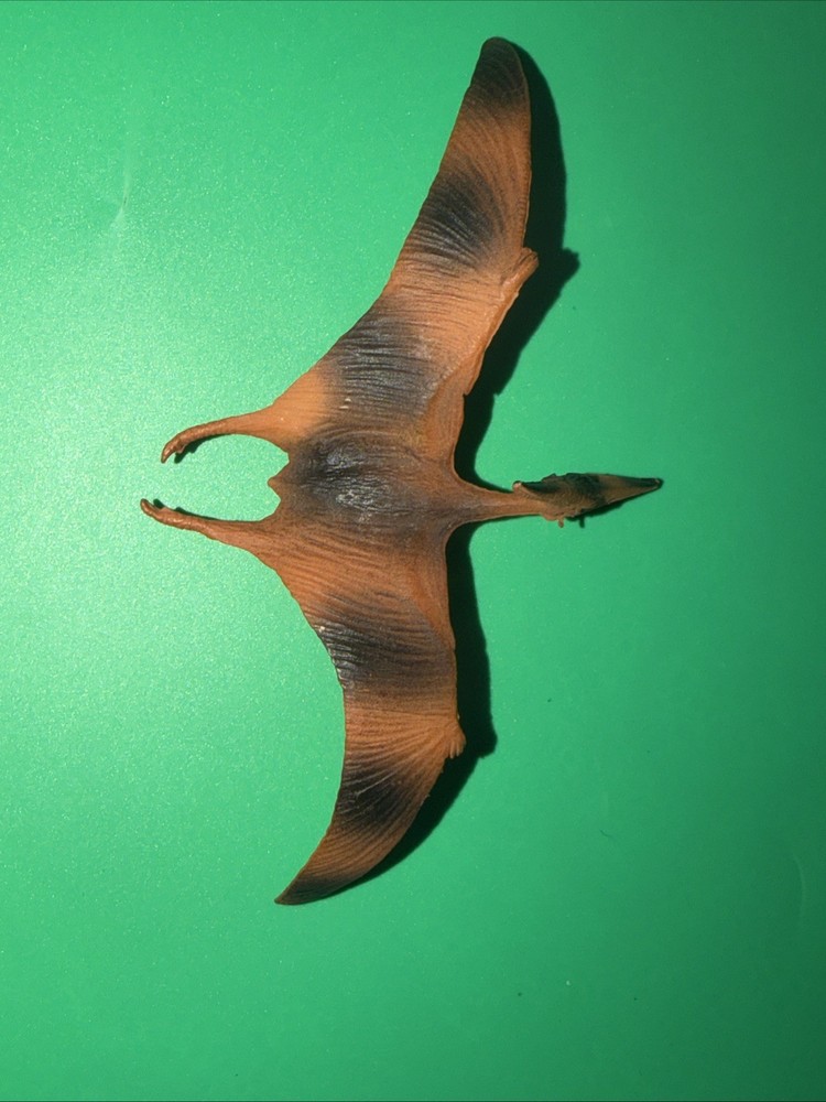 CollectA Realistic Animal Replica Pteranodon Figure for Ages 3 Years and Up