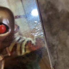 NEWS OF THE WORLD “QUEEN” FUNKO POP ALBUM HARD CASE PROTECTOR #06