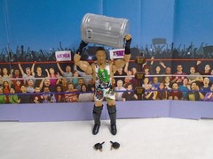 WWE Rob Van Dam From the Vault Elite Series 6 Figure 100% Complete Ringside RVD