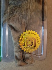 MEGO THE WIZARD OF OZ COWARDLY LION 8 INCH /10000 2018