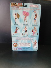 PLASTIC FANTASY Adult XXX Superstars HOUSTON 7″ Action Figure GUITAR Sealed