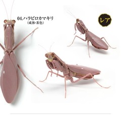 The Diversity of Life on Earth Mantis 03 Set of 6 Complete Bandai Capsule Toy