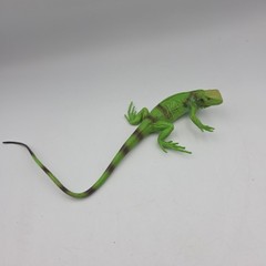Safari Ltd. Iguana Baby (ca. 30 cm ) 1997