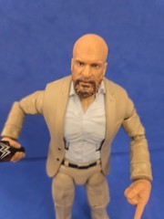 Mattel WWE Elite CCO Triple H Figure Wrestling HHH 2025 Walmart Exclusive