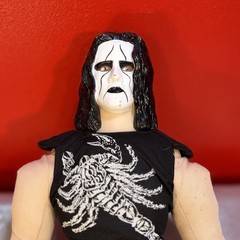VINTAGE 1998 WCW STING WRESTLING STEVE BORDEN 19 In