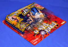 WWE / WWF SUMMER SLAM ’99 2 TUFF 5 BA BILLY GUNN & ROAD DOGG JESSE JAMES JAKKS