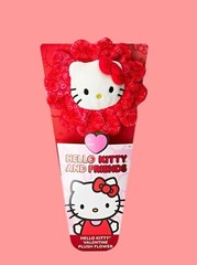 Hello Kitty And Friends 14-inch Hello Kitty Red Plush Valentine’s Day Flower NEW