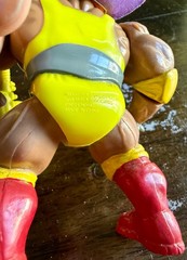 Chester the Wrestler 1992 Stone Protectors Action Figure Ace Novelty Complete