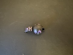Bakugan Battle Brawlers Rattleoid Black Darkus Serpenoid 250g