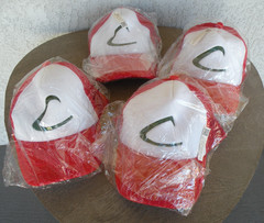 4 Unused Ash Ketchum / Pokemon Adult Hats / Mesh Cap with Plastic Snap Closure