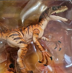 New Jurassic Park Amber Collection VELOCIRAPTOR The Lost World Action Figure