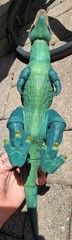 CUSTOM Hammond Collection Chameleon Carnotaurus Action Figure